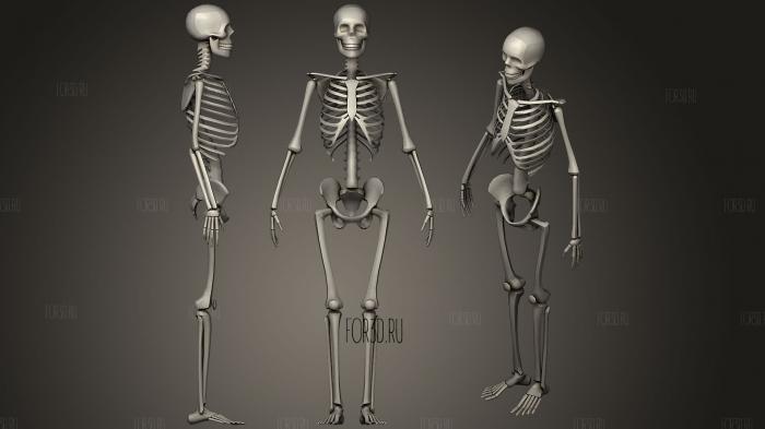 Low poly skeleton